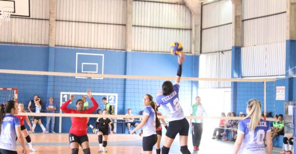 atletas time volei esporte