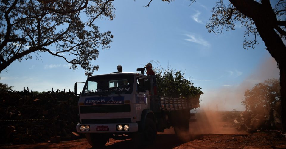 Foto: Andre Borges/Agência Brasília