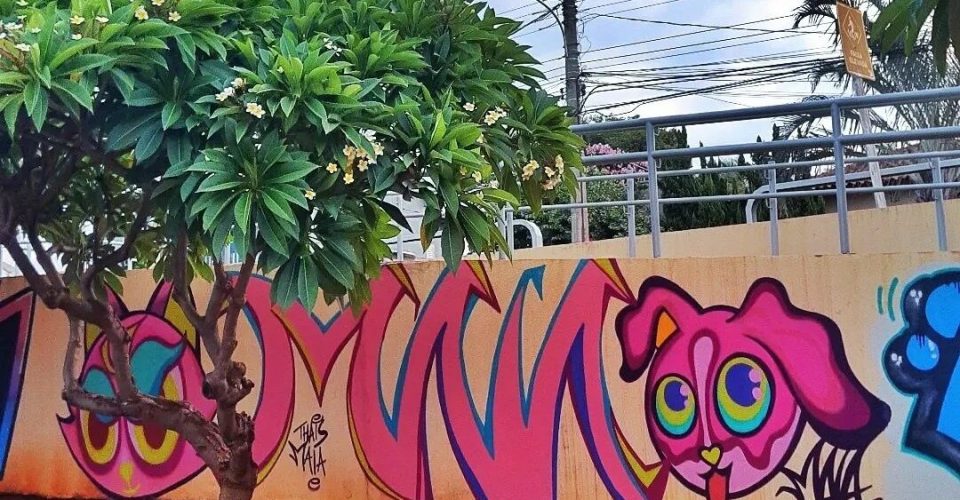 Foto: Muro com grafite destruído com tinta branca, contém elementos de animais a qual a artista busca trazer em suas pinturas/ Thaís Maia