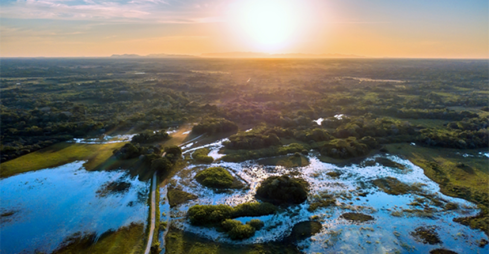 MAPA tem programa específico para Mato Grosso do Sul