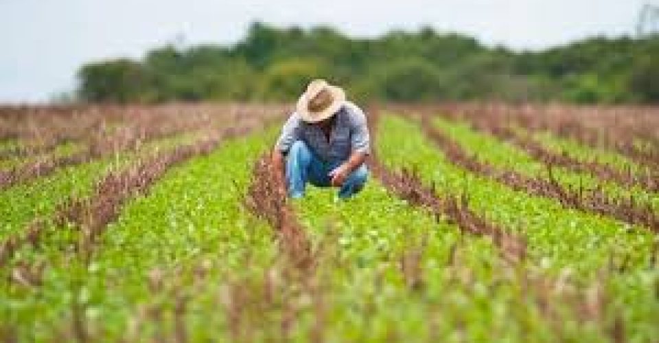 Famasul promove evento sobre agronegócio