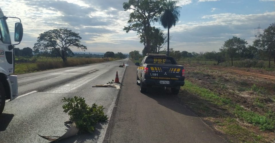 Fotos/; Divulgação- O Pantaneiro