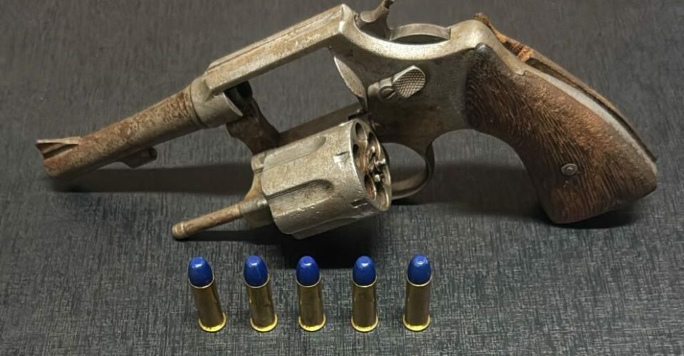 Foto: Divulgação/PMMS