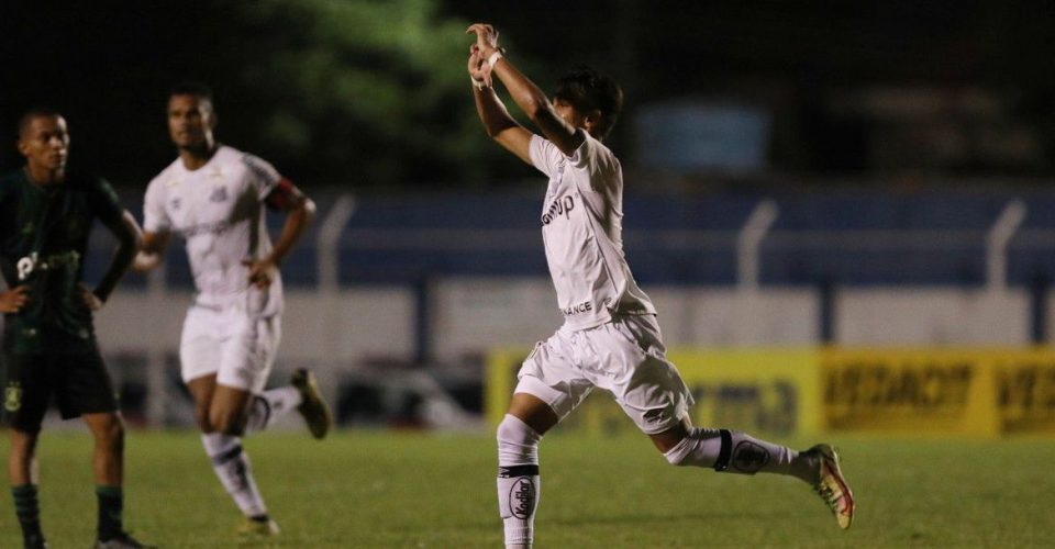 Foto: Pedro Ernesto Guerra / Santos FC