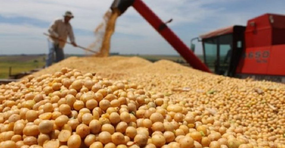 soja safra safrinha escoamento agronegocio agro rural ms mato grosso do sul producao agricola