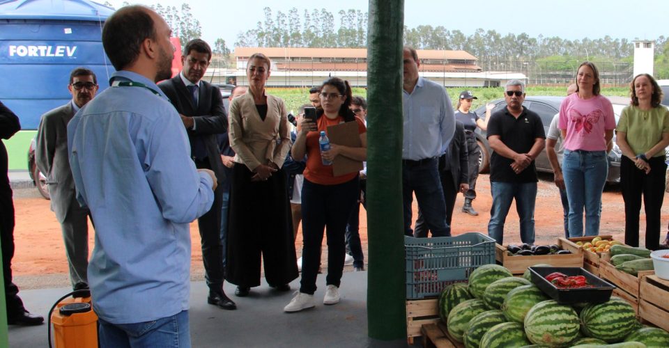 Horta destina produção para entidades e escolas