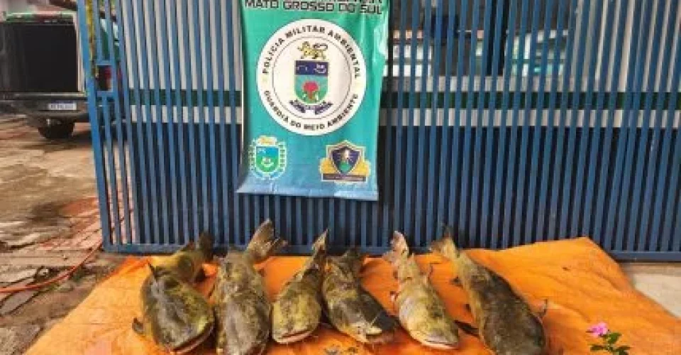 Polícia Militar Ambiental